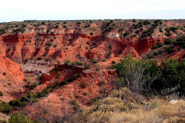 Caprock Canyons State Park December 21, 2017