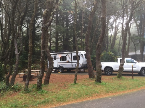 Carl G. Washburne Memorial State Park. We went to here in early October 2019 and there were very few people camping.