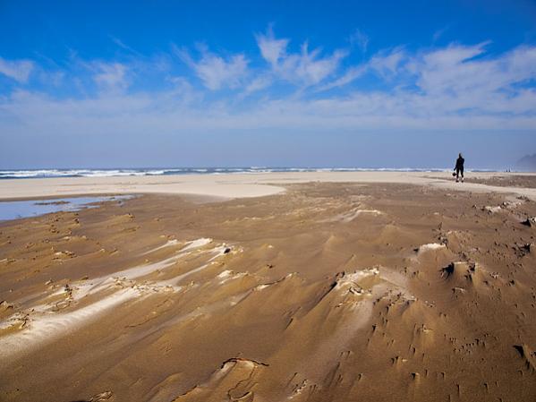 Carl Washburne State Park,  Oregon Coast