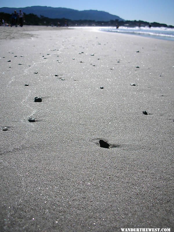 Carmel River State Beach