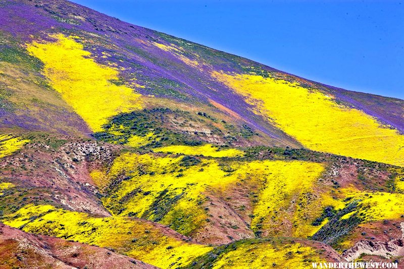 Carrizo Plain, California