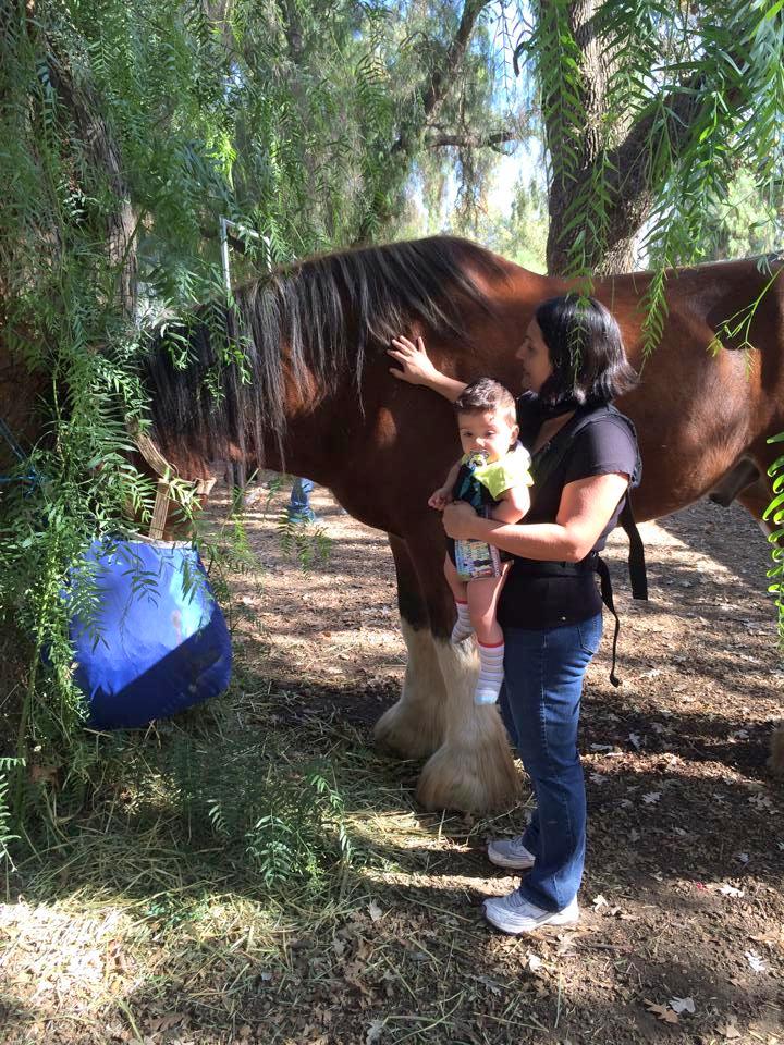 Casa_De_Fruta_RV_park_-_Medieval_Renaissance_Fair_4_