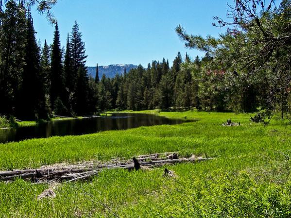 Cascade Lake ID