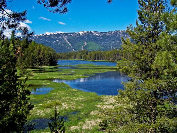 Cascade Lake ID