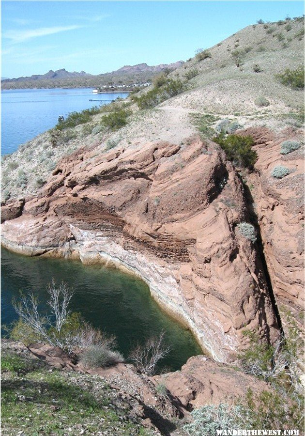 Cattail Cove AZ 12