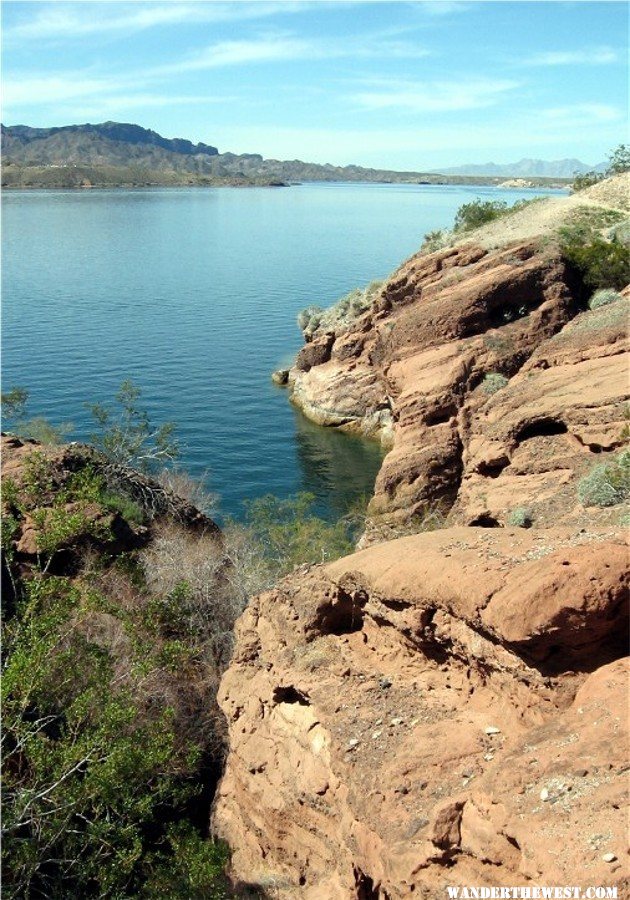 Cattail Cove AZ 13