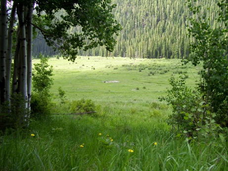 CCC Pad, Brush creek, Yeoman Park Colorado
When I was very young and into my teens my parents and friends would camp here at least once a year and I r