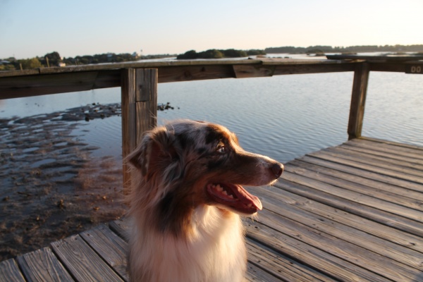 Cedar Key March '14