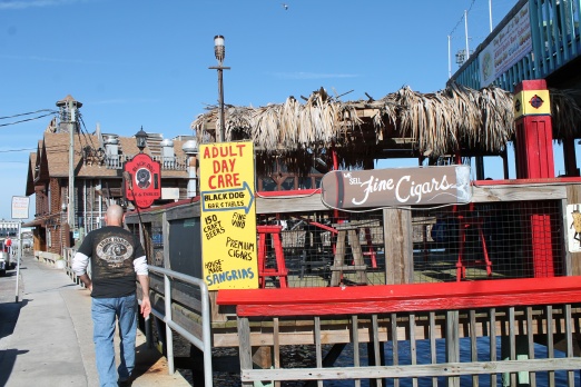 Cedar Key March '14