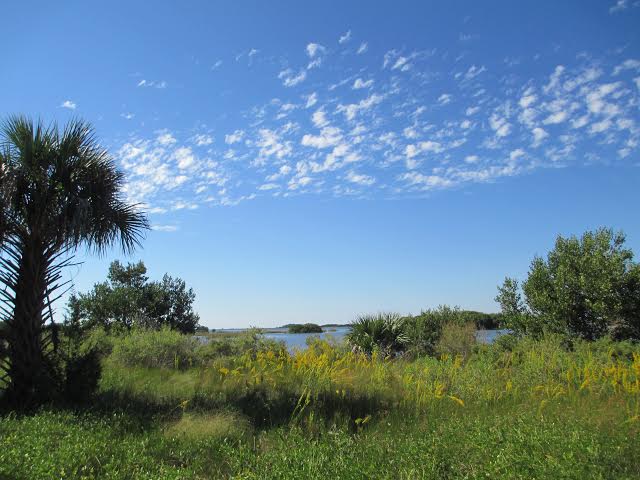 Cedar Key