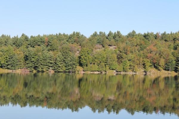 Charleston Lake Provincial Park