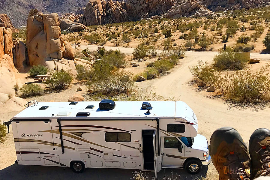 Chillin' at Joshua Tree