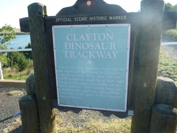 clayton dino track