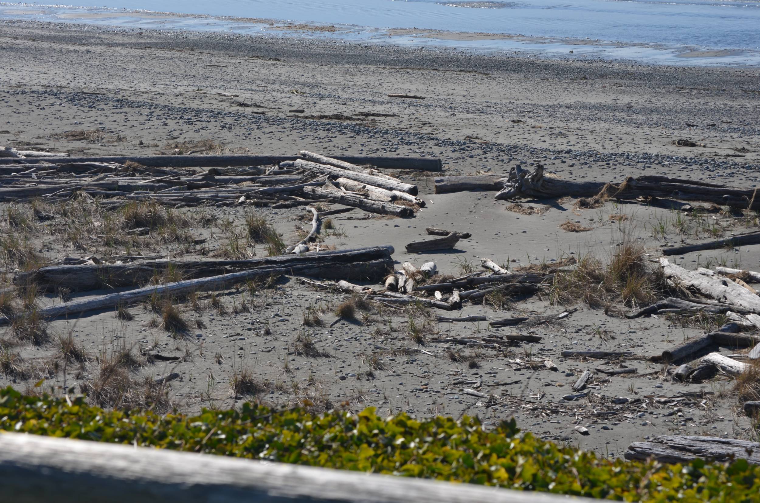 Cliffside RV Park Whibley Island