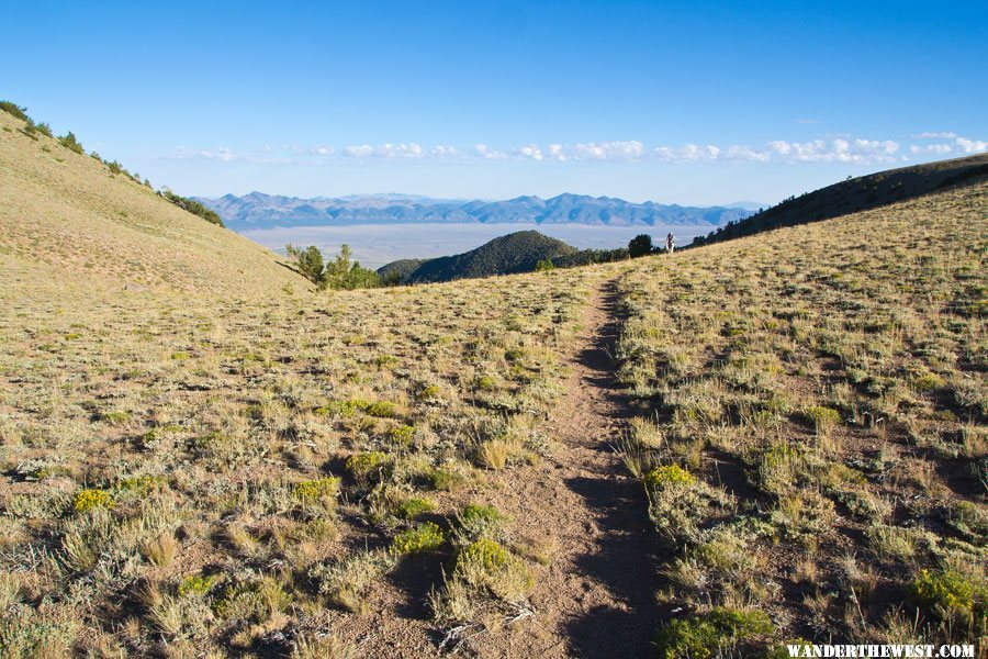 Climbing to the Toiyabe Crest