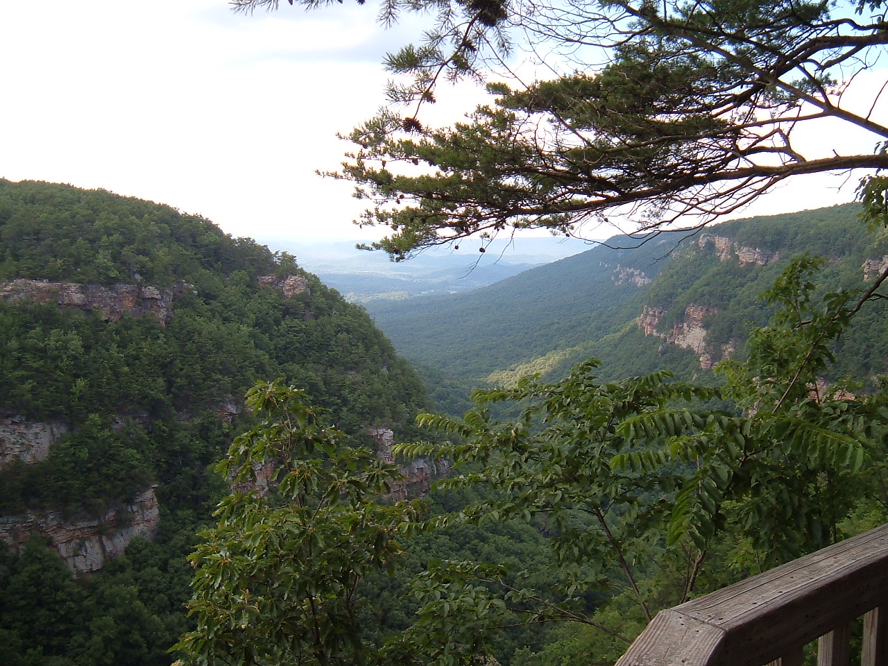 Cloudland Canyon View 2