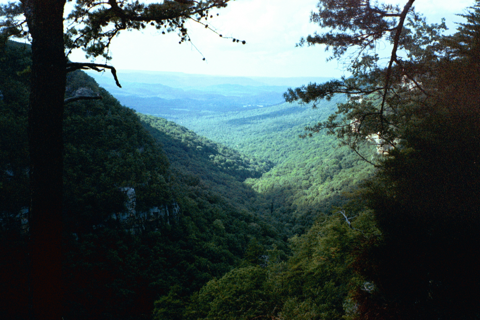 Cloudland Canyon View 3