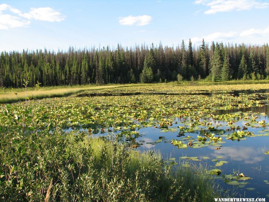 Co-op Lake