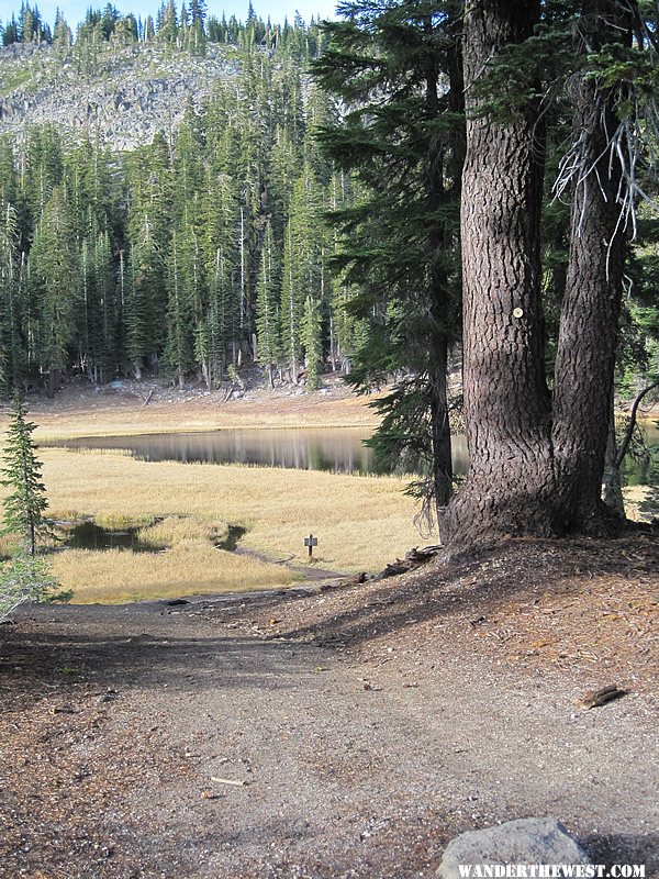 Cold Boiling Lake - Lassen Volcanic National Park