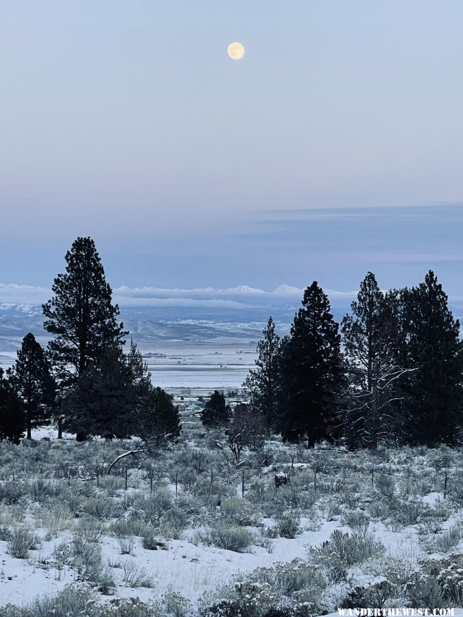 Cold December Moon