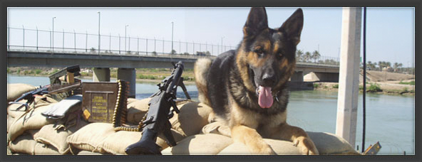 Conversion Protection K9