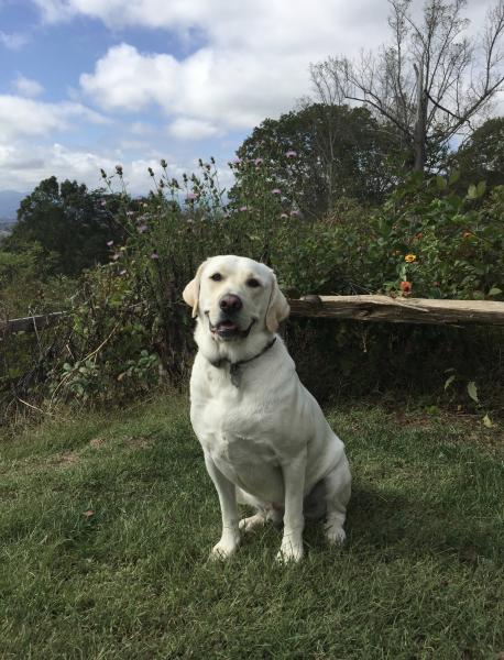 Cooper posing for the camera.