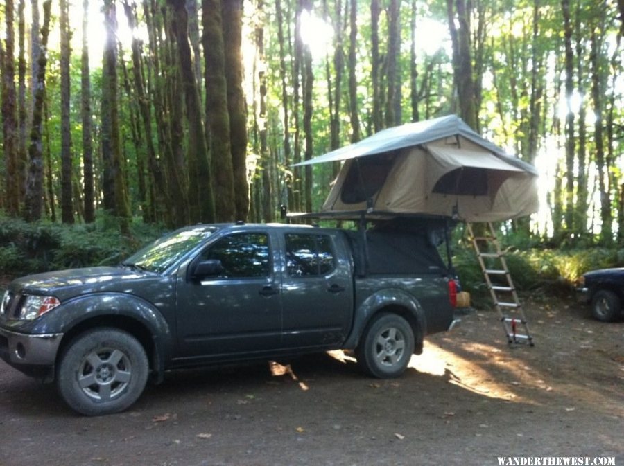 Cowichan lake camping in the trees