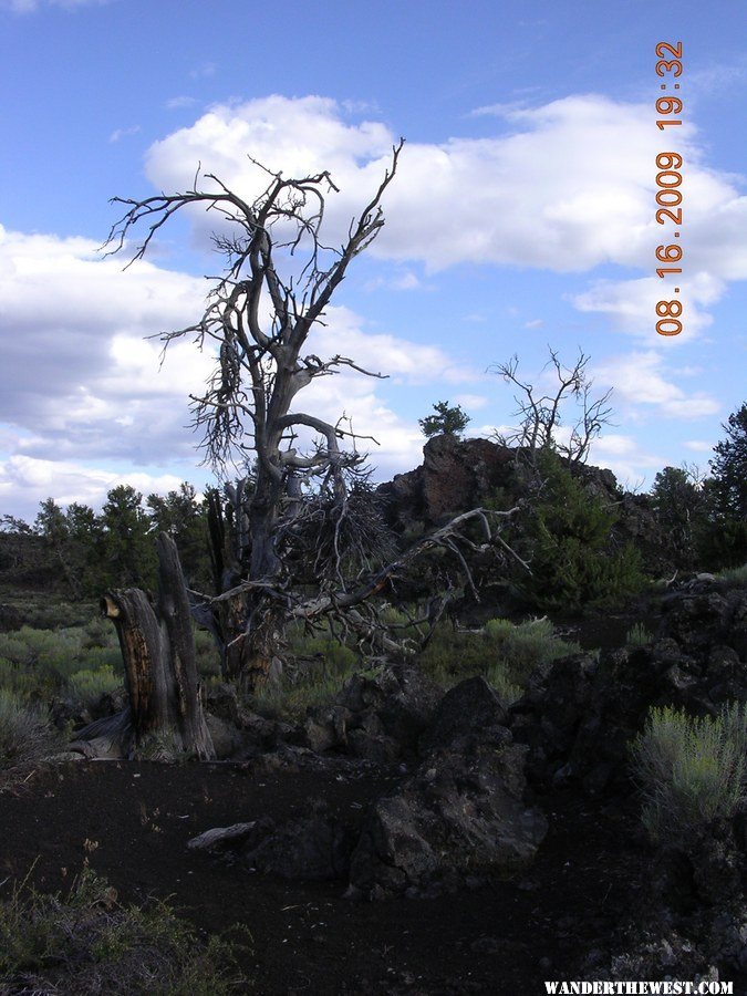 Craters of the Moon, ID