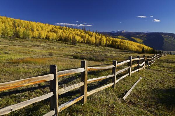 Creede, CO