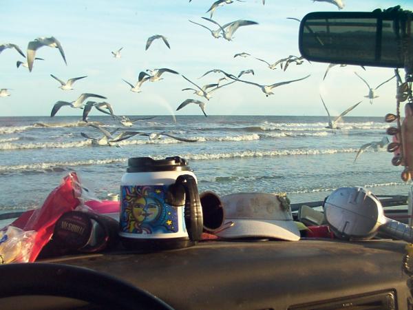 cruising the beach.