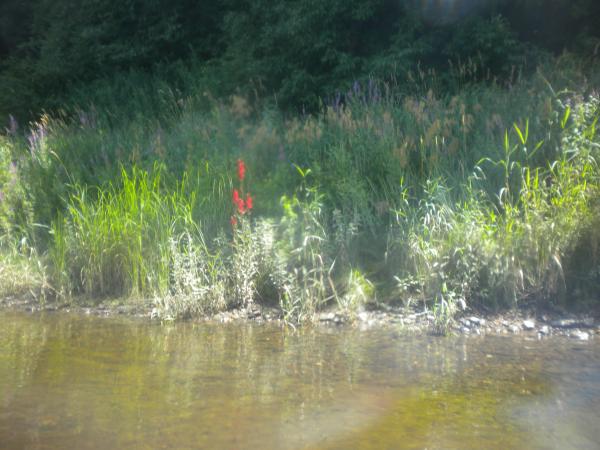 CT River Vermont/New Hampshire