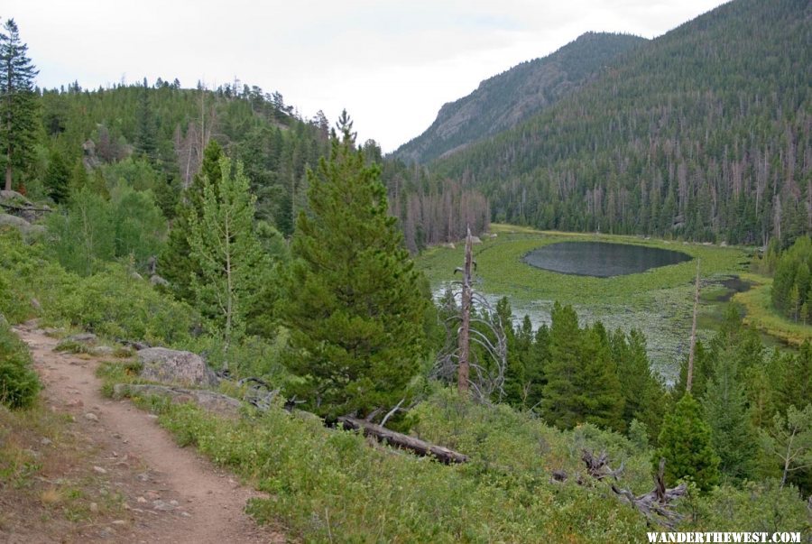 Cub Lake on a Rainy Day