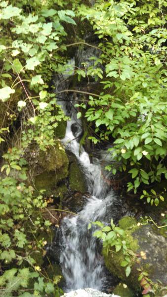 Dalles Creek