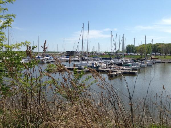 Dam West Marina - Carlyle Lake