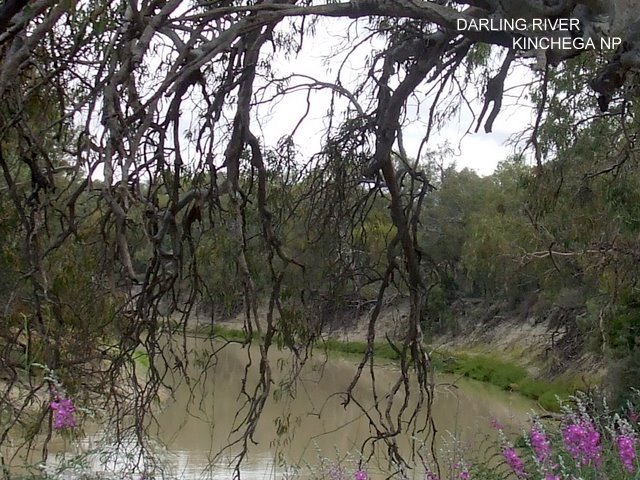 Darling River, Kinchega NP