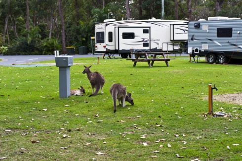 Darlington Beach Carindi NSW