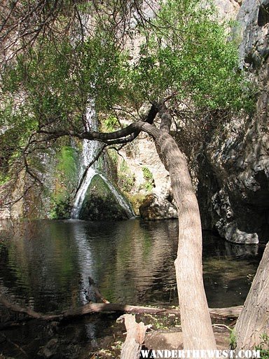 Darwin Falls