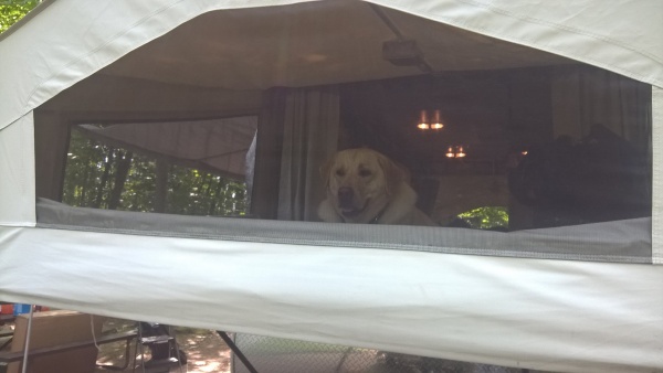 Dash enjoy the camper😊