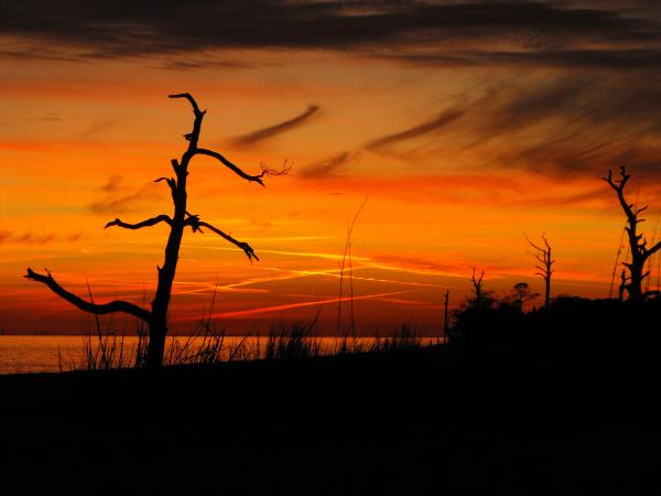 Dauphin Island, AL. Beach at sunset