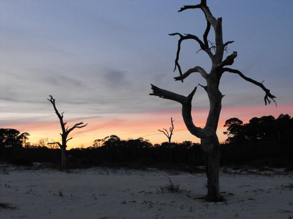 Dauphin Island, AL. Beach at sunset