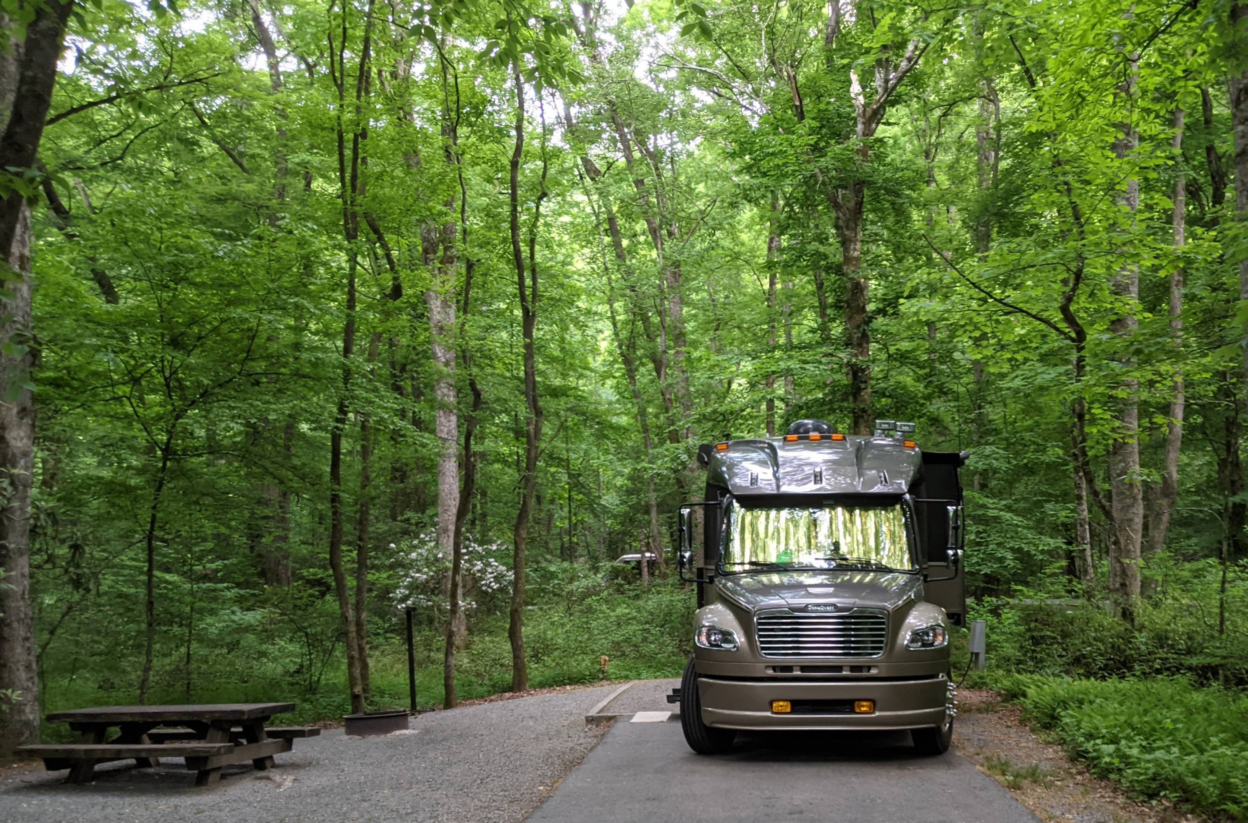 Davis River Campground Brevard NC