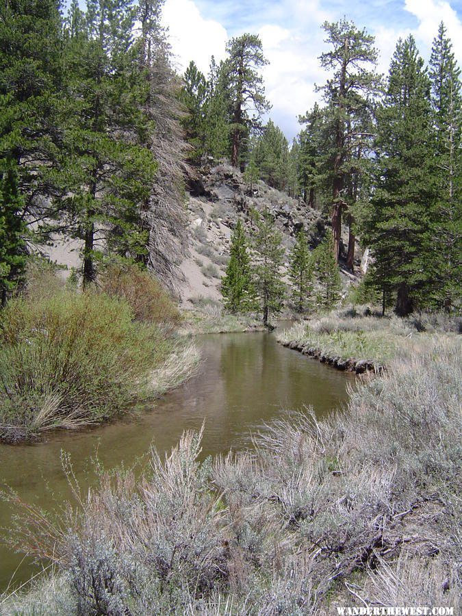 Deadman Creek, CA