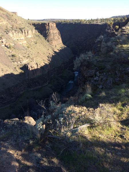 Deep gorge at Crooked River Ranch. Signs warn campers that the cliffs are dangerous and unstable. As close as I dared to get. If you look closely, you