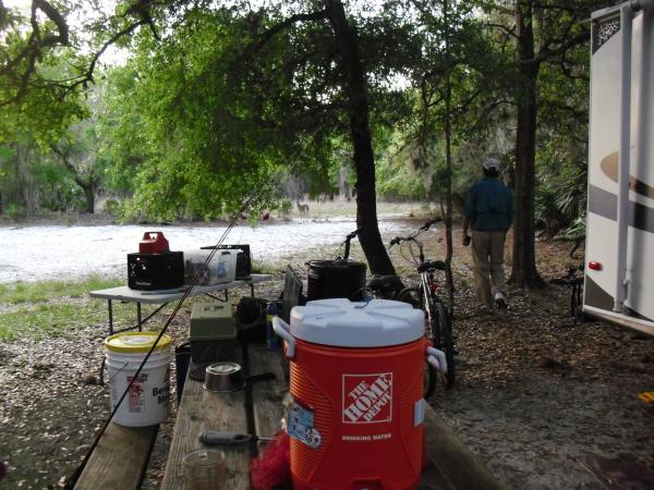 Deer right behind our Camper!! First camp out in a Florida State Park.