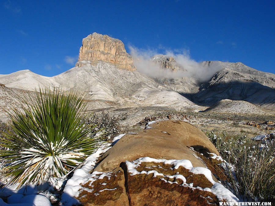 Desert Winter