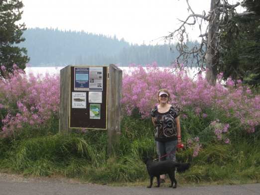 Diamond Lake,Or