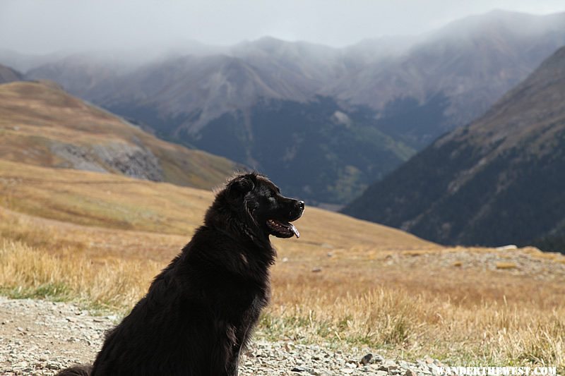 Diego - Cinnamon Pass Sept 2009