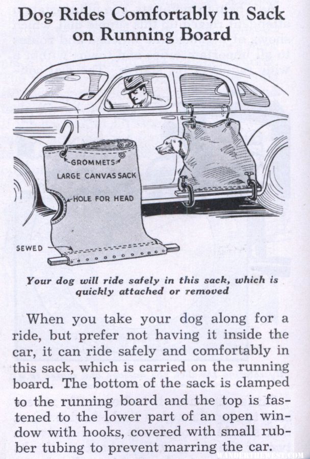 Dog Car sack