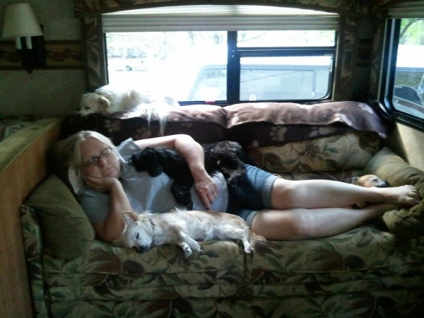 Dogs napping with Tina in the TT