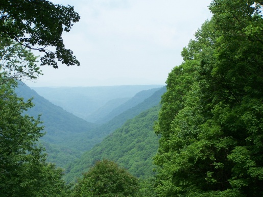 Down through the valley at Babcock State Park, WV